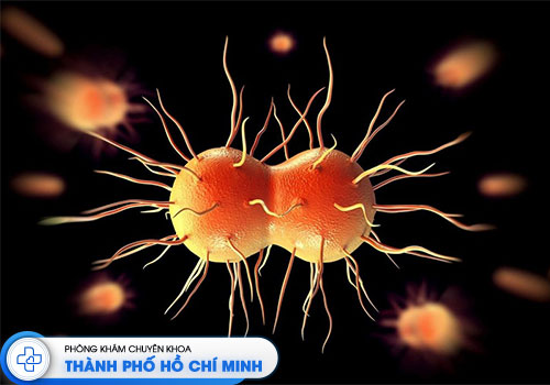 mua-thuoc-chua-benh-lau-o-dau-an-toan-va-hieu-qua