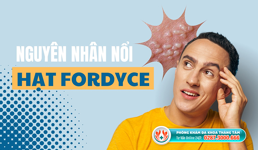 Hạt Fordyce xuất hiện là do sự bít tắc các tuyến bã nhờn trên da